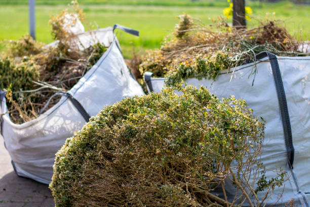 Reliable Pleasant View, UT Junk Removal Solutions