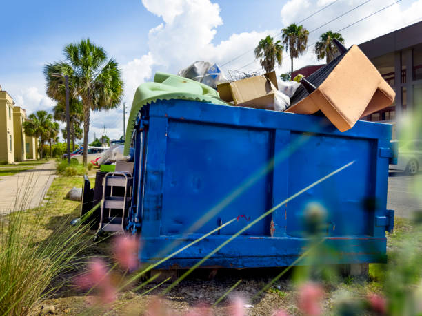 Best Basement Cleanout Services  in Pleasant View, UT